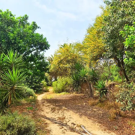 Premium Isabel * קוסטה קלמה