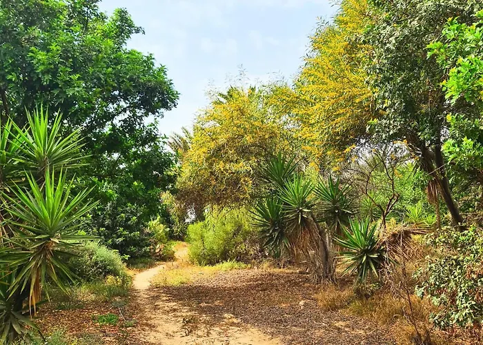 Premium Isabel * קוסטה קלמה